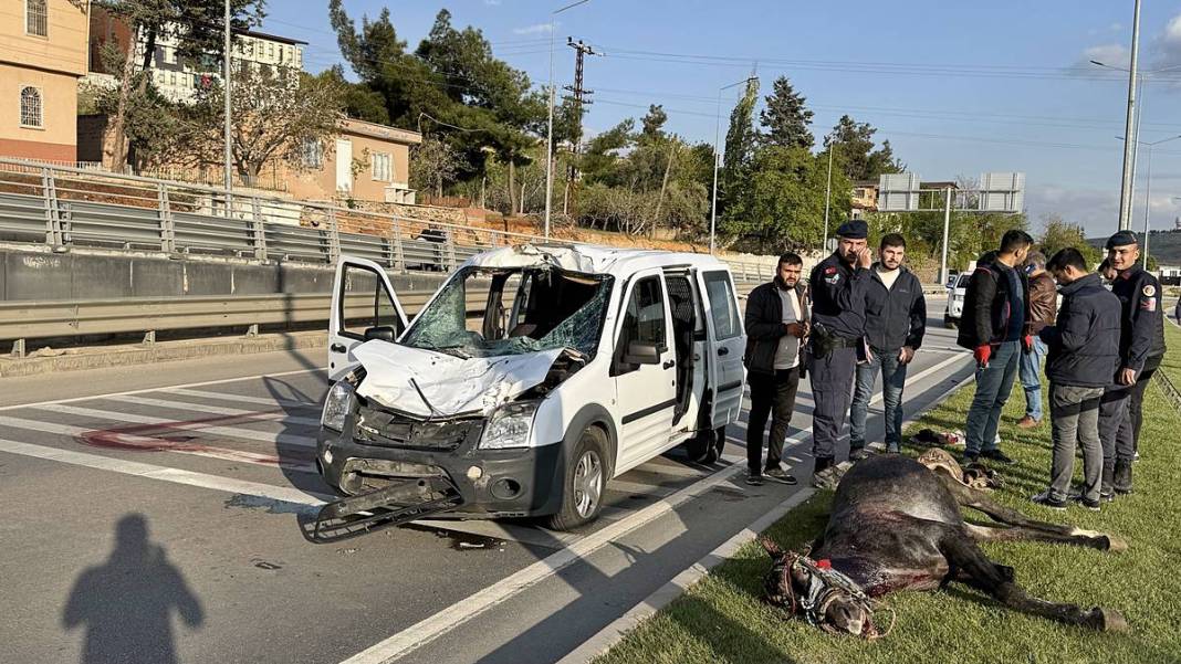 Yola fırlayan at, sivil polis aracına girdi! 1'i ağır 2 polis yaralandı, at ise öldü 4